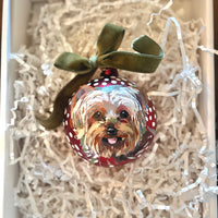 Pet Ornament