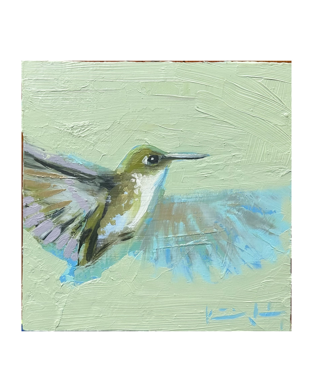 Hummingbird - Soft Green