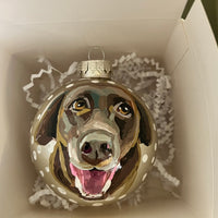 Pet Ornament