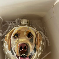 Pet Ornament