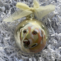 Pet Ornament