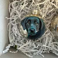Pet Ornament