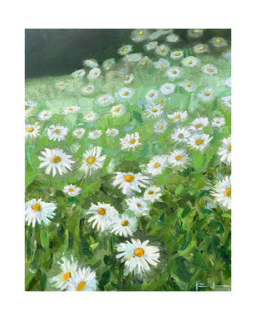 Daisy Dream