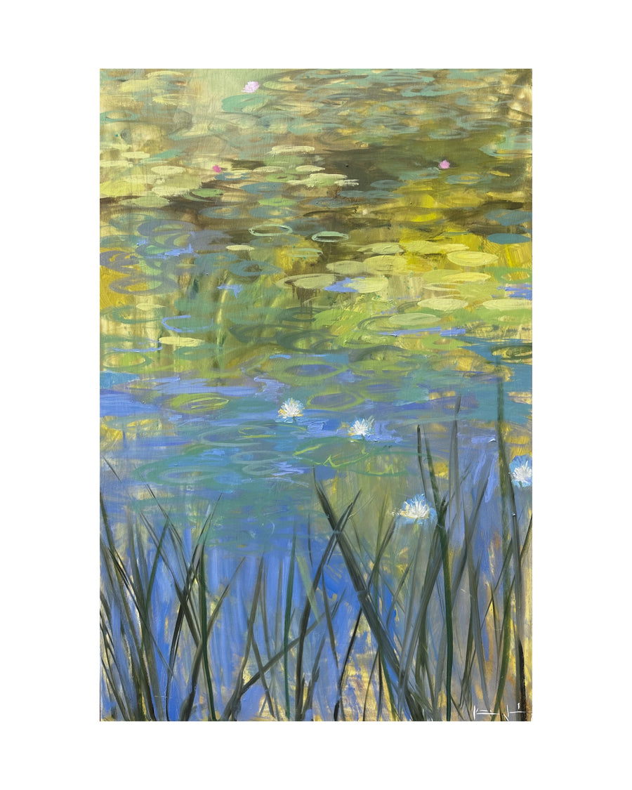 Where Peace Blooms