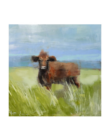 Brown Cow
