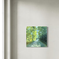 Under the Tree Canopy