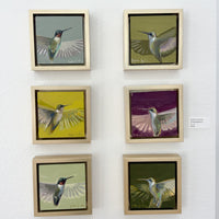 Hummingbird I