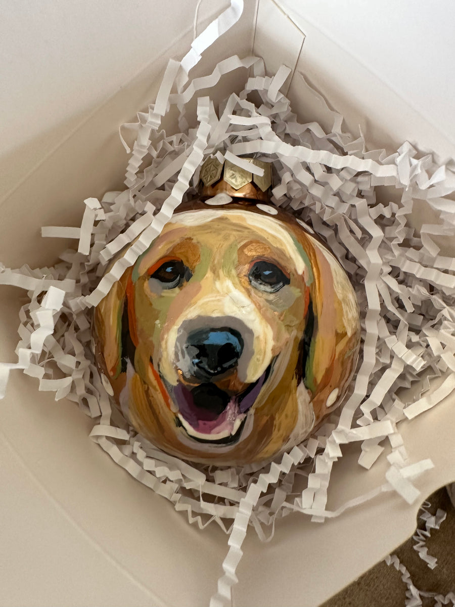 Pet Ornament