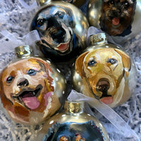 Pet Ornament