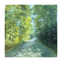 Under the Tree Canopy