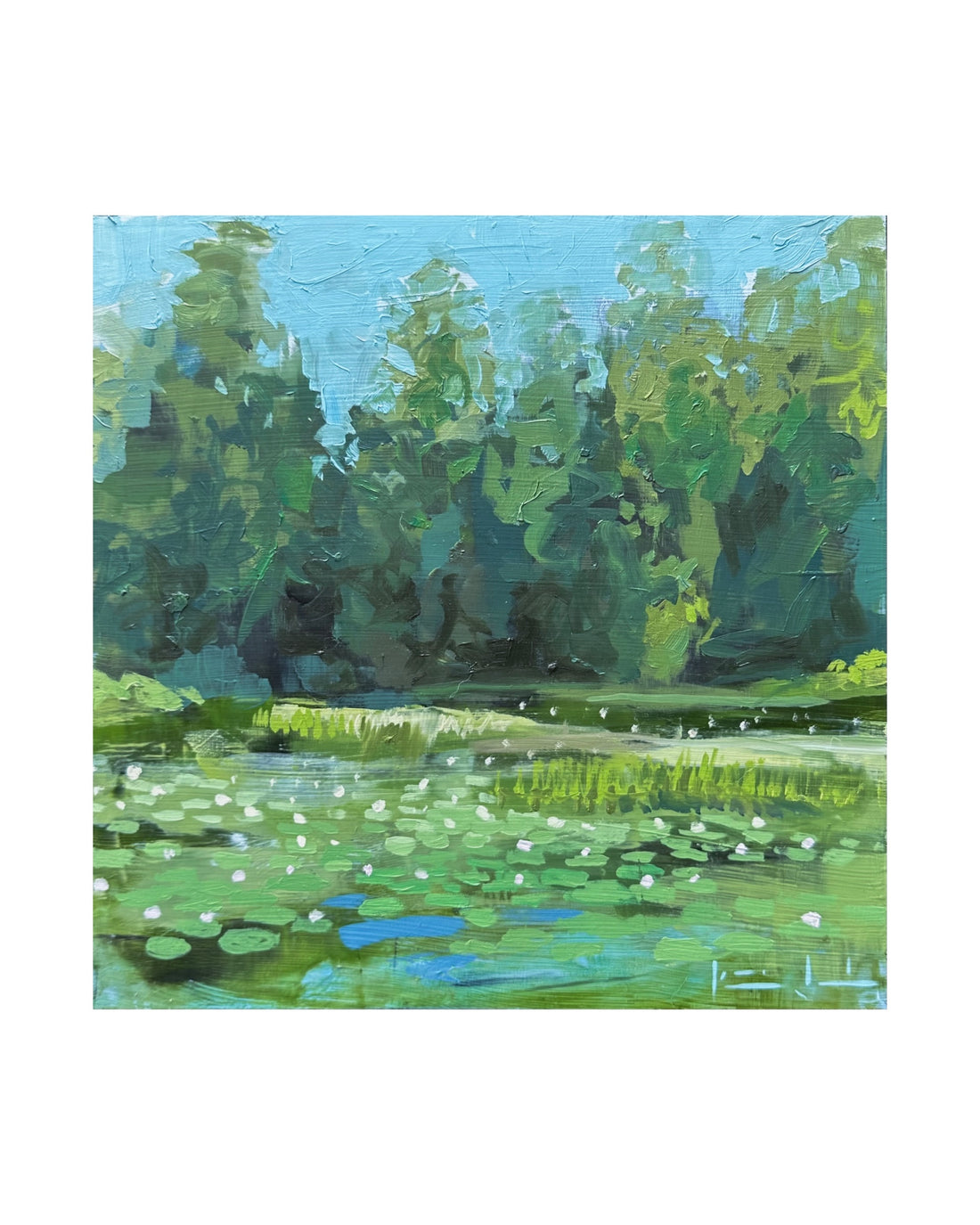 Highlands Botanical Garden