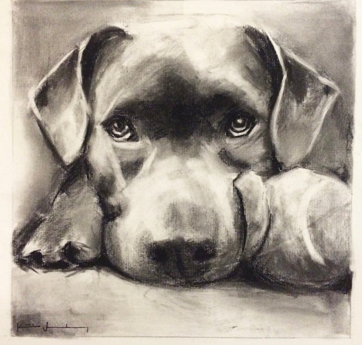Katie Jacobson Art Black and White Dog Painting
